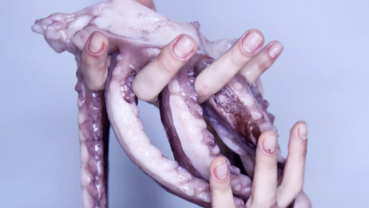What Is a Tentacle Dildo and How Do People Use It
