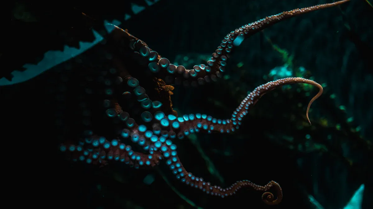6. Kraken'
style=