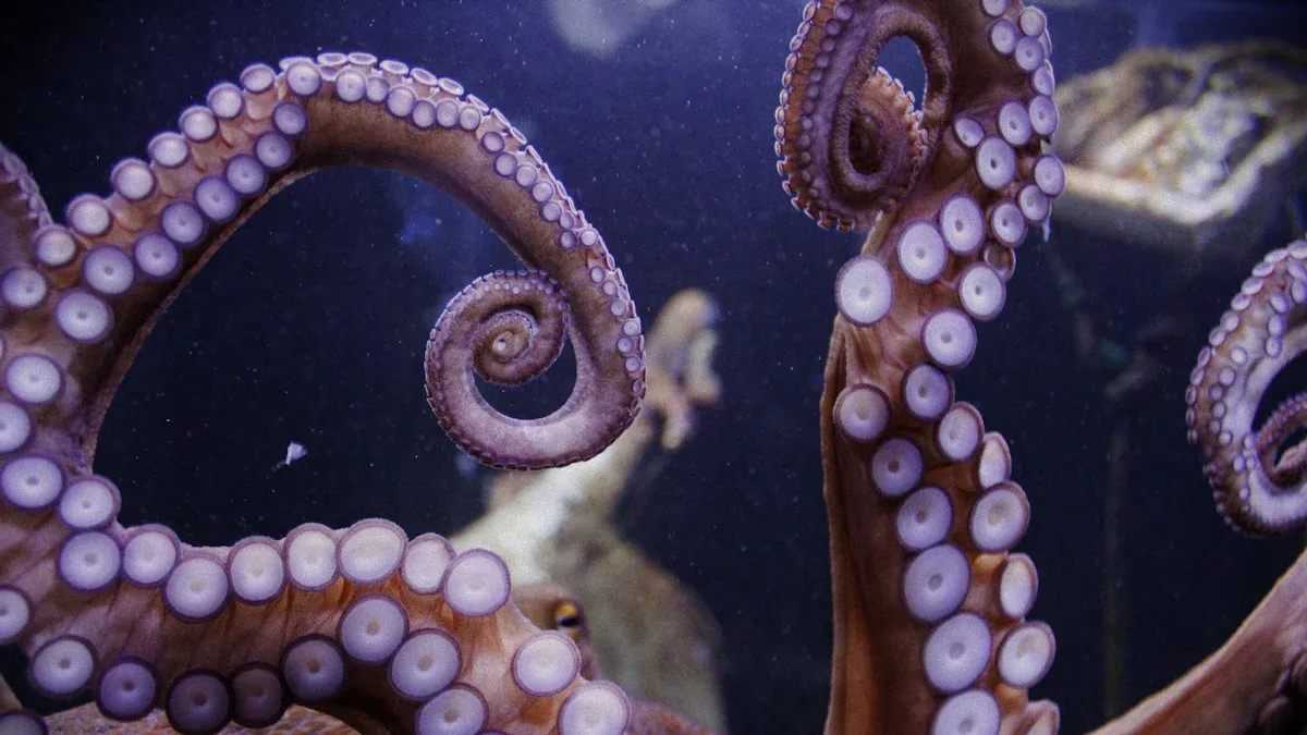 Tentacle Dildos Overview