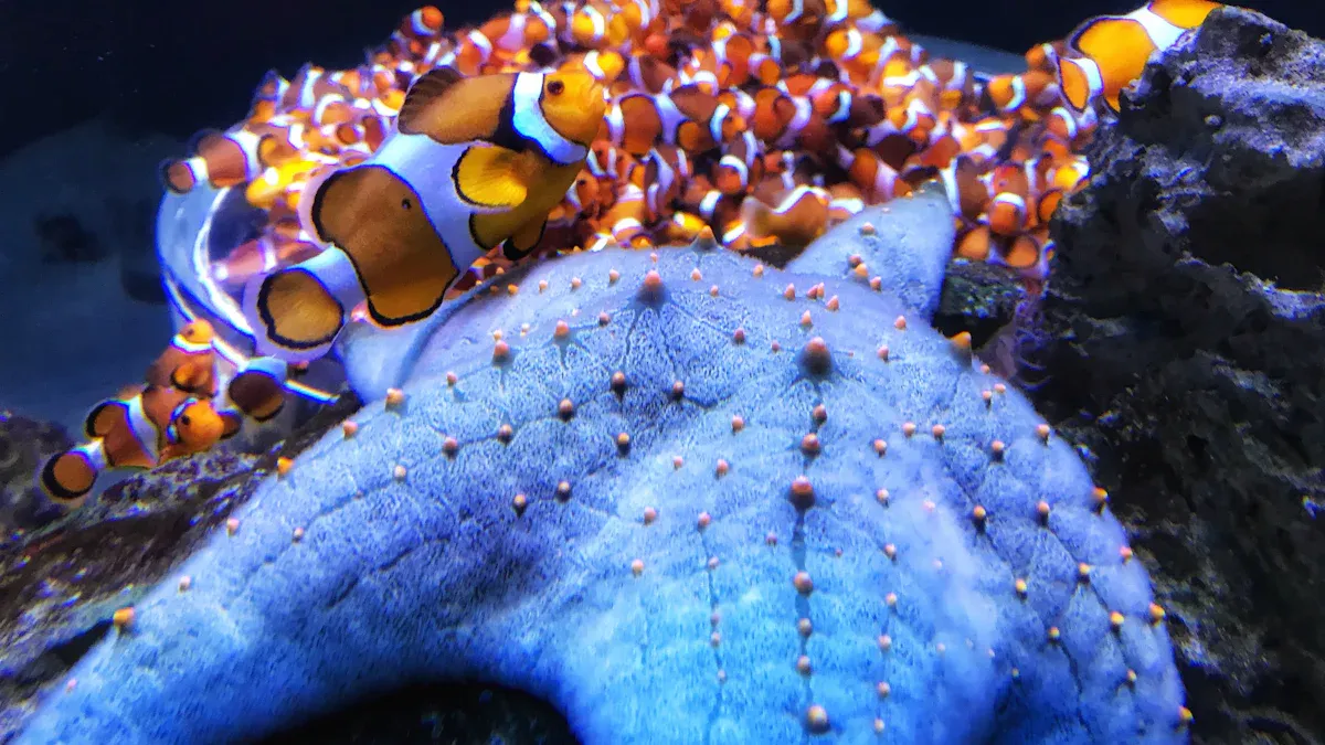Top 10 Tentacle Dildos