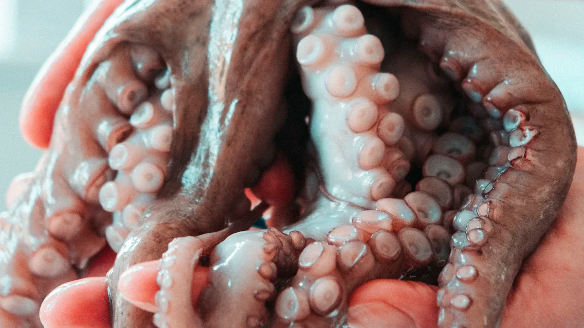 Tentacle Dildos Overview