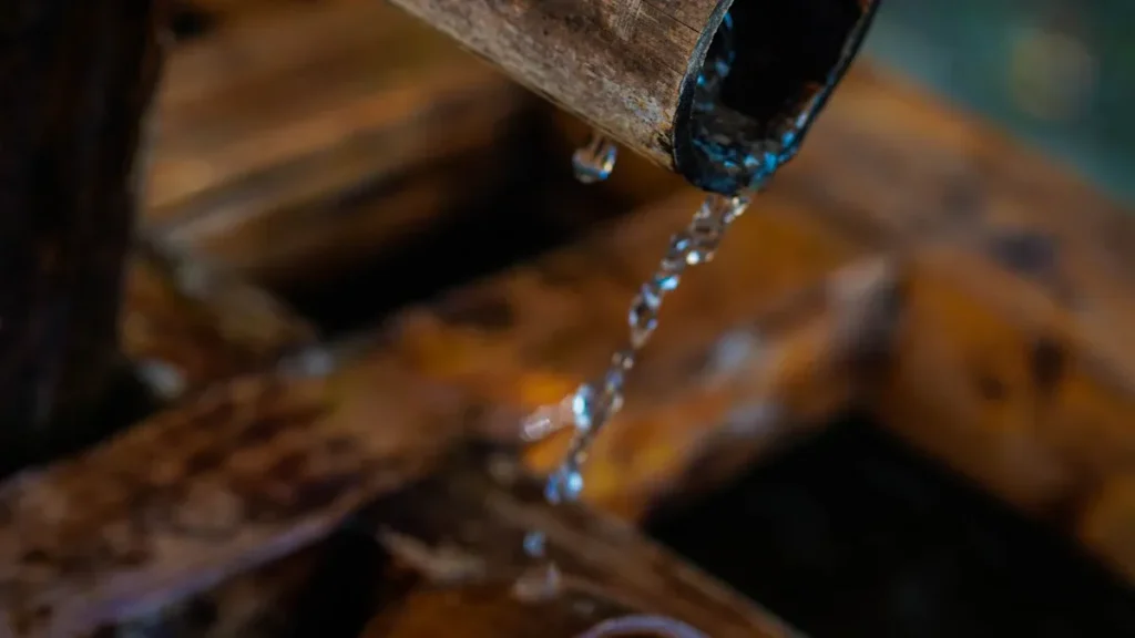 How to Fix a Vibrating Shower Head and Quiet Noisy Pipes
