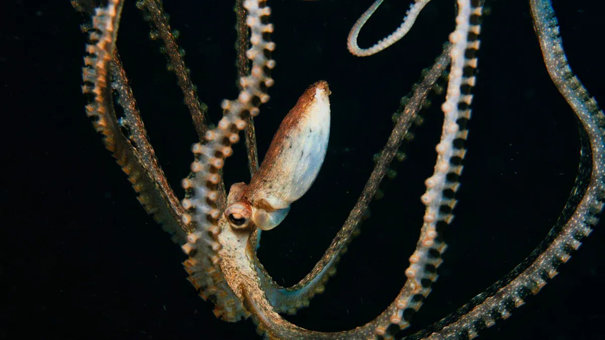 What Are Tentacle Dildos?